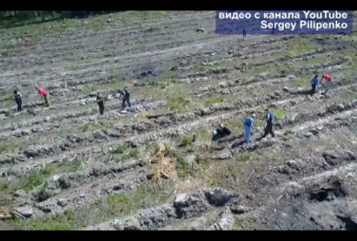 &laquo;Лес Победы&raquo; - возле деревни Голыгино