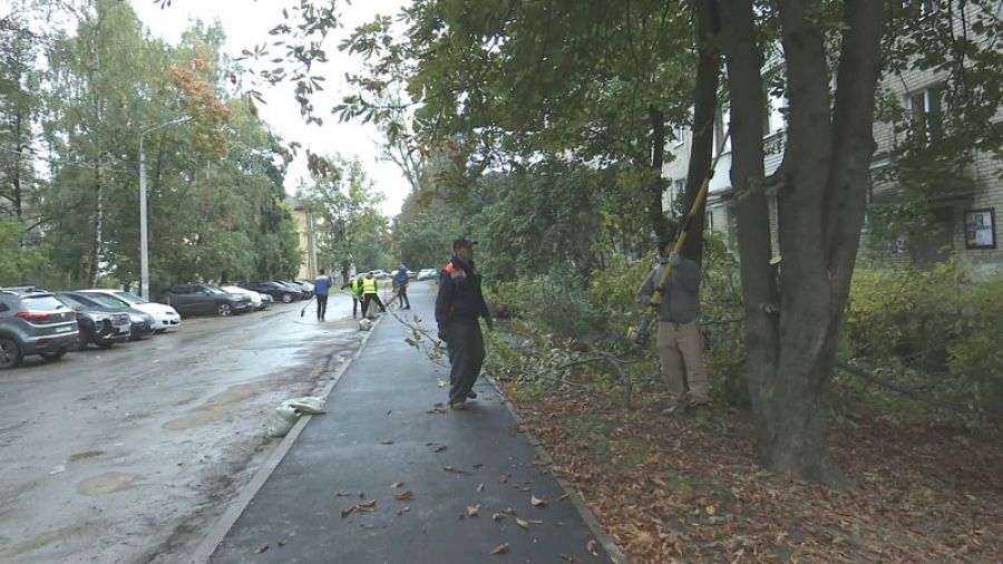 Субботник на Вознесенской улице