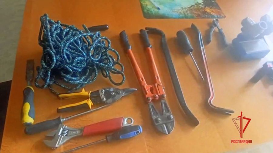 Росгвардейцы пресекли правонарушение