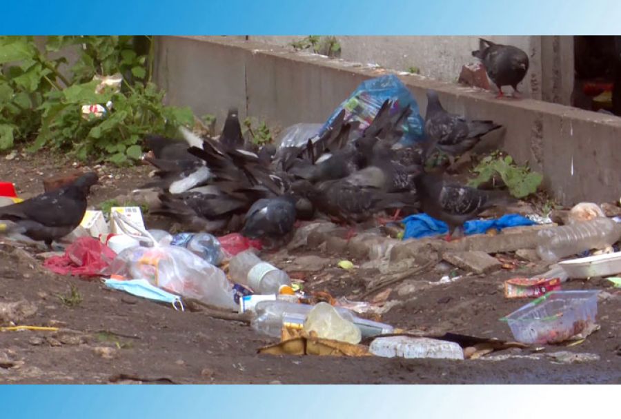 Мусорная проблема