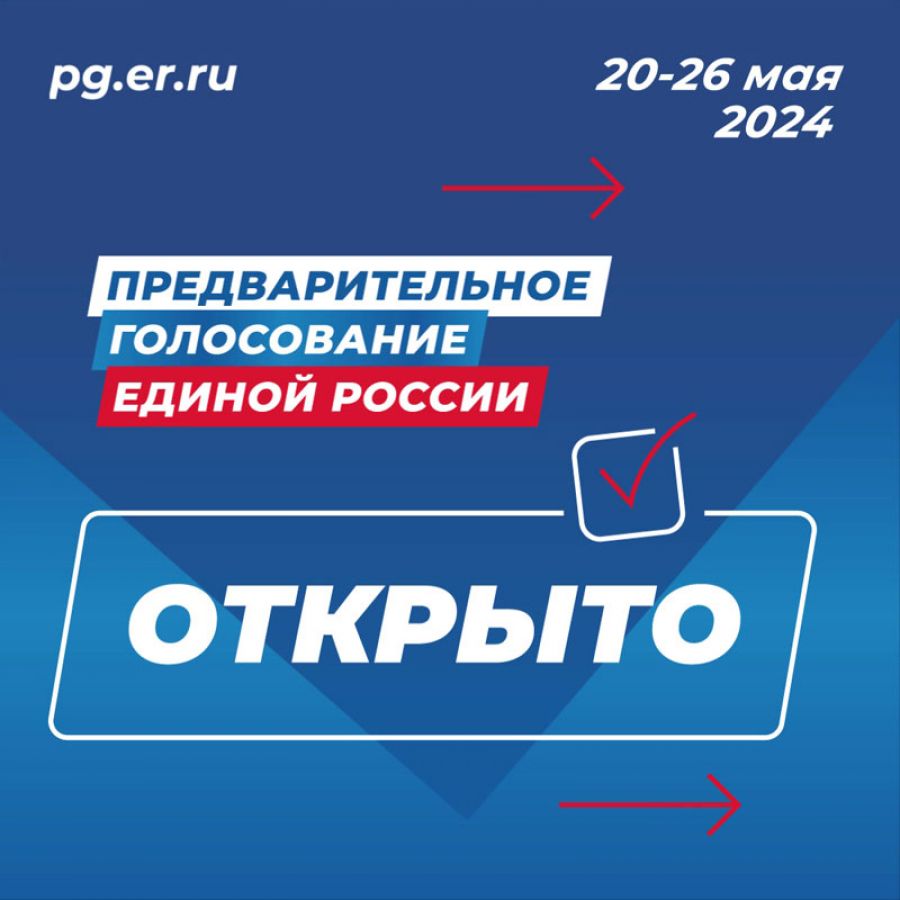 Предварительное голосование началось