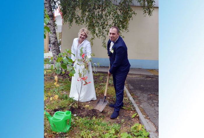 Молодожёны посадили у ЗАГСа в Сергиевом Посаде своё дерево