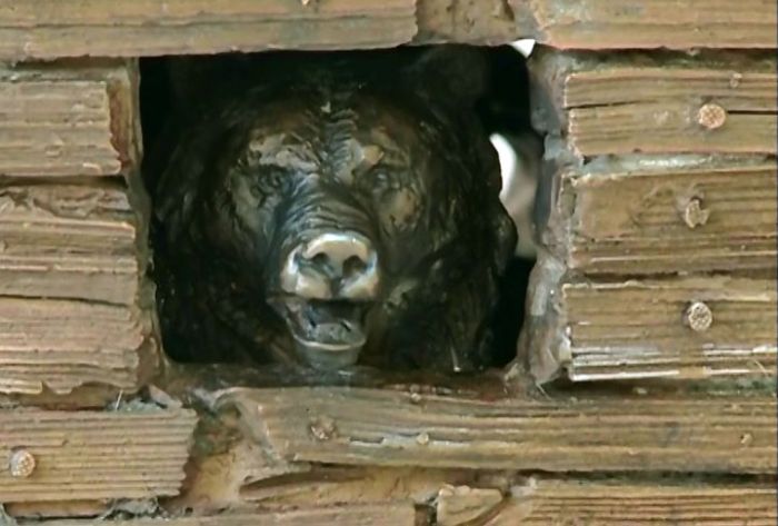 В Дмитрове открылась выставка бронзовой скульптуры Сергея Серёжина