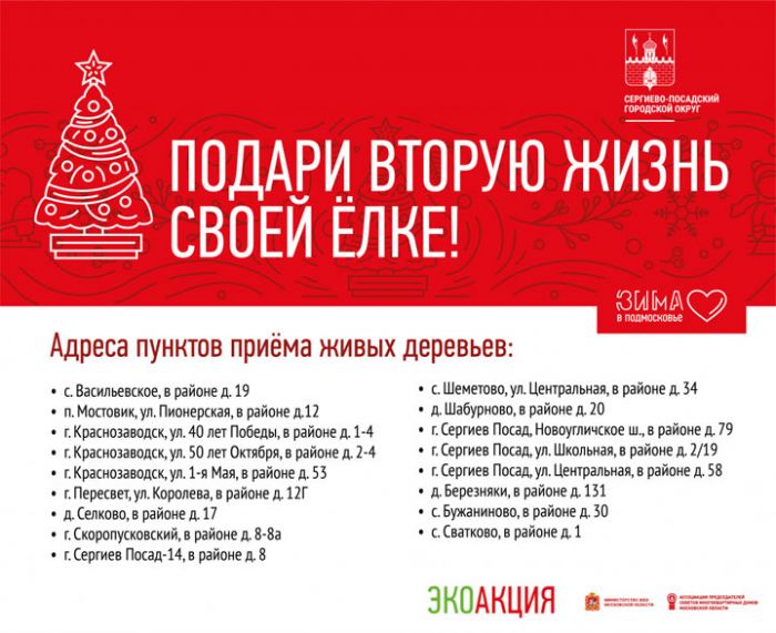 Экологическая акция &laquo;Подари своей елке вторую жизнь&raquo;