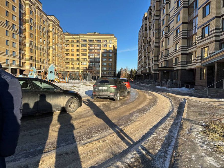 Депутатский объезд. Уборка дворов, ул. Владимирская