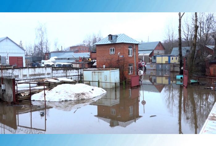 Первоапрельская шутка природы