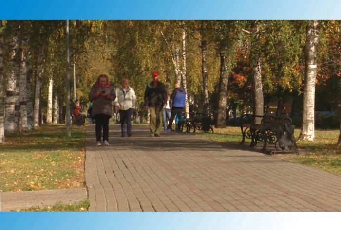 Бульвар Кузнецова готовят к реконструкции