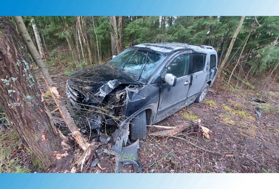 Сводка ДТП с 6 по 13 ноября 2020 года