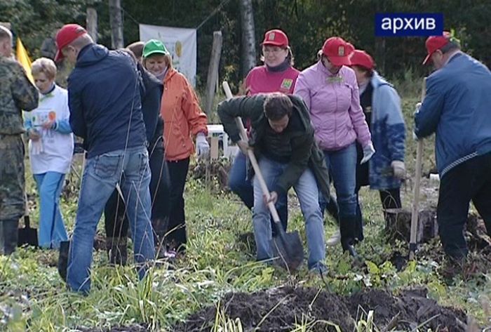 Сергиевопосадцы примут участие в акции «Наш лес. Посади свое дерево»