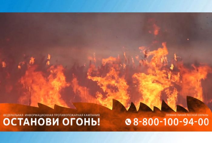 О правилах пожарной безопасности