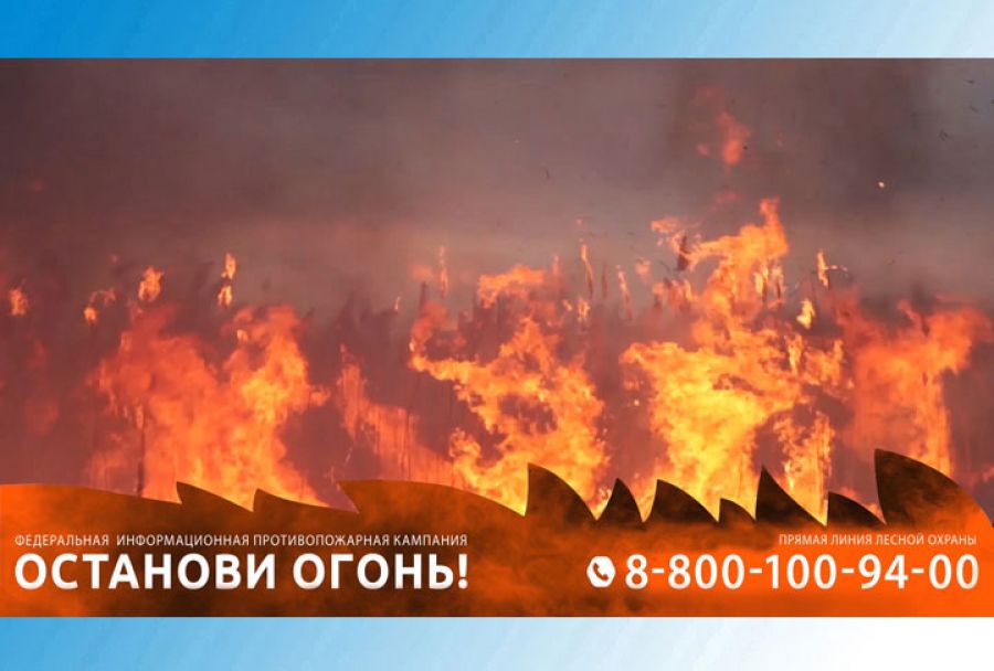 О правилах пожарной безопасности
