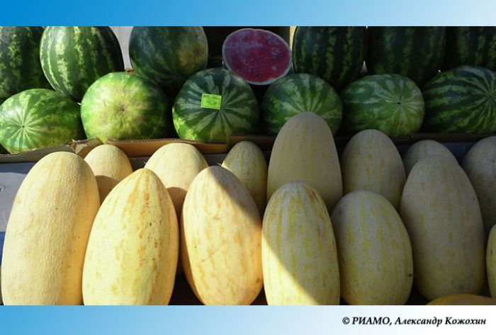 Россиянам напомнили о том, как выбрать арбуз или дыню