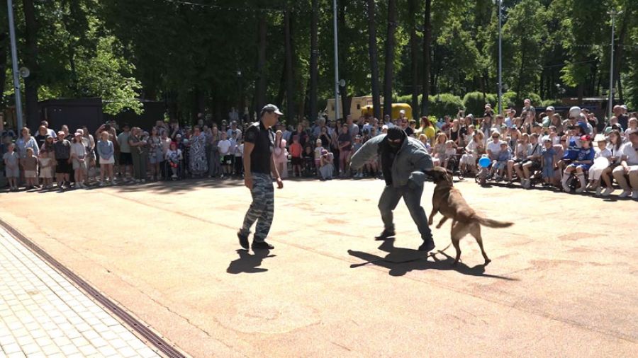 Один день полиции