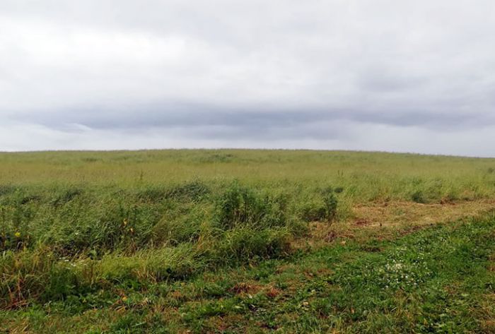 Более 900 многодетных семей получили земельные участки в 2018 году