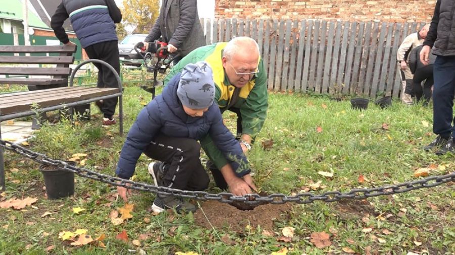 Собрание закончилось посадкой кустарников