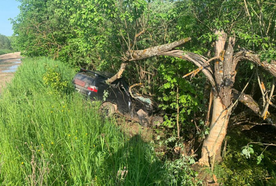 Сводка ДТП с 5 по 12 июня 2020 года