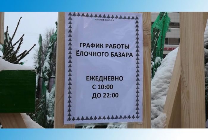 Сколько стоит метр зелёной красоты?