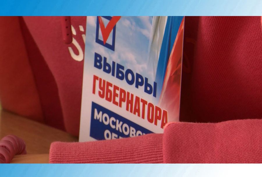 Дебют в качестве председателя УИК Анастасии Швецовой