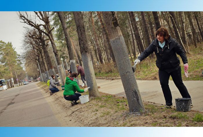 Областной субботник пройдет в Подмосковье 21 апреля