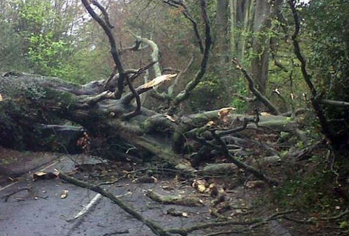 В Центральной России из-за урагана погиб 1 человек и 57 пострадали