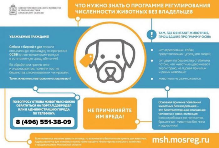 Что нужно знать о программе регулирования численности животных без владельцев?