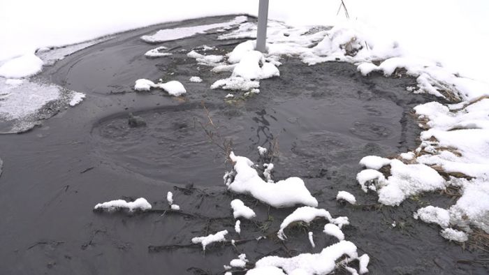 &laquo;День города&raquo; за 20 января 2026 г.