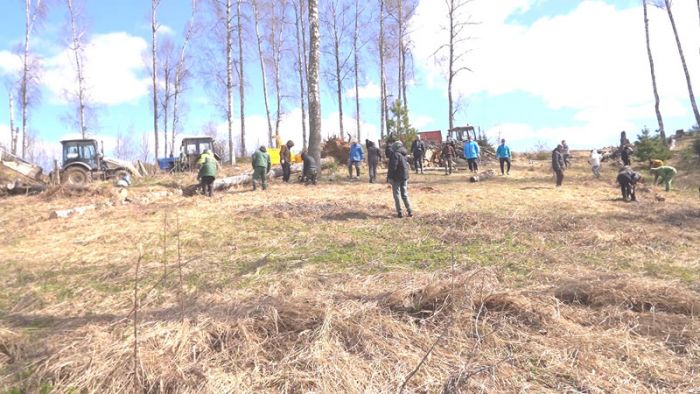 В Краснозаводске успели провести субботник