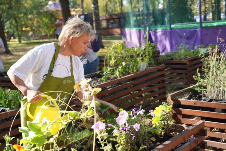 Кубок лучшего огородника получила Алена Шульгина