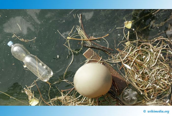 В Сергиевом Посаде 2 дня ликвидировали аварию, вызвавшую загрязнение пруда