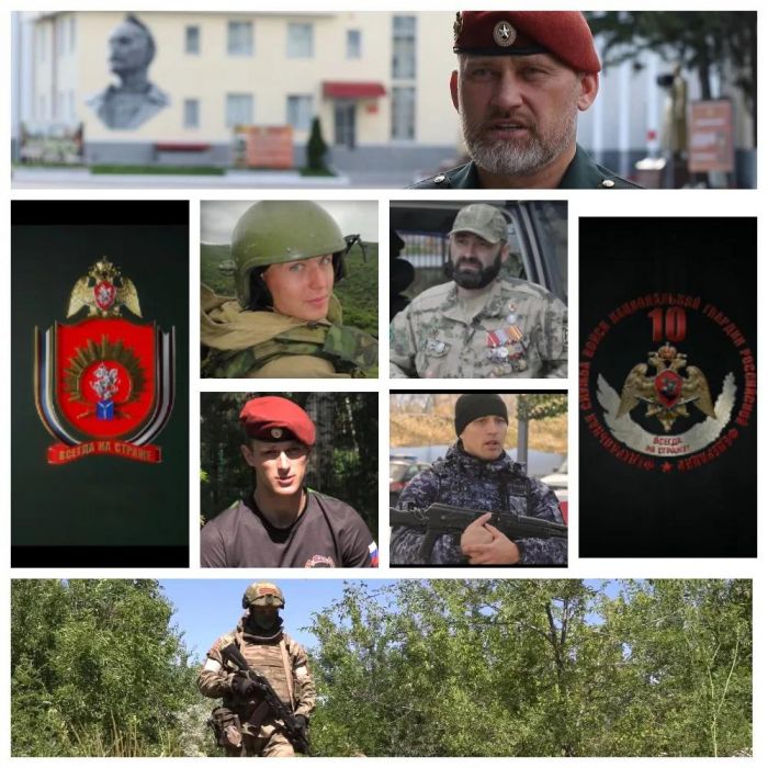 Ко Дню России Росгвардия и оргкомитет Международного фестиваля медийного творчества "Братина" проводят показ документальных  фильмов о героях СВО