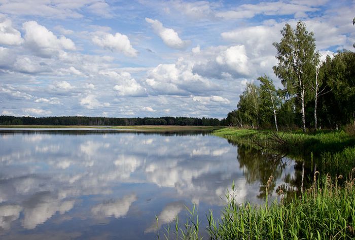 Ограничения на вылов рыбы ввели в Московском регионе с 1 апреля