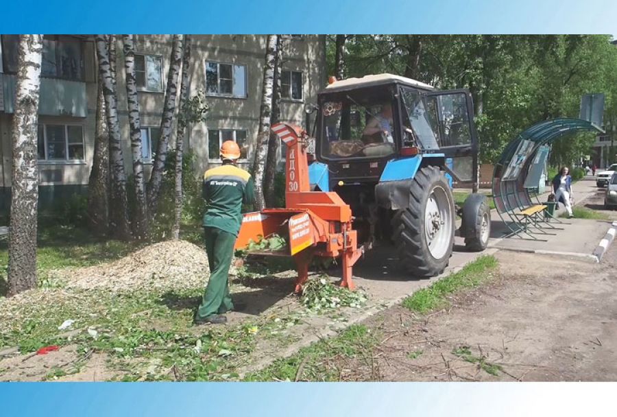 Областная инспекция в Сергиево-Посадском городском округе
