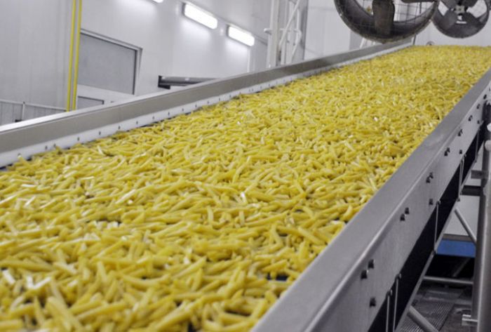 Под Липецком рабочие отравились аммиаком на заводе по производству картофеля фри