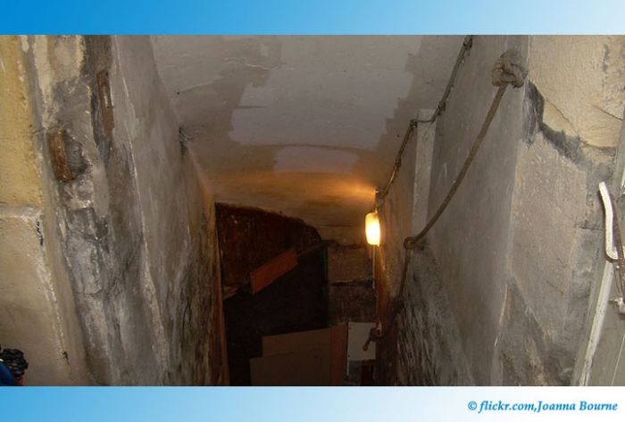 Подвалы жилых домов в Зарайске и Сергиевом Посаде привели в порядок после проверки