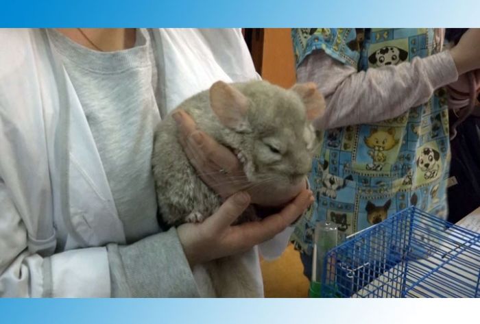 Школьники посетили Сергиево-Посадский аграрный колледж