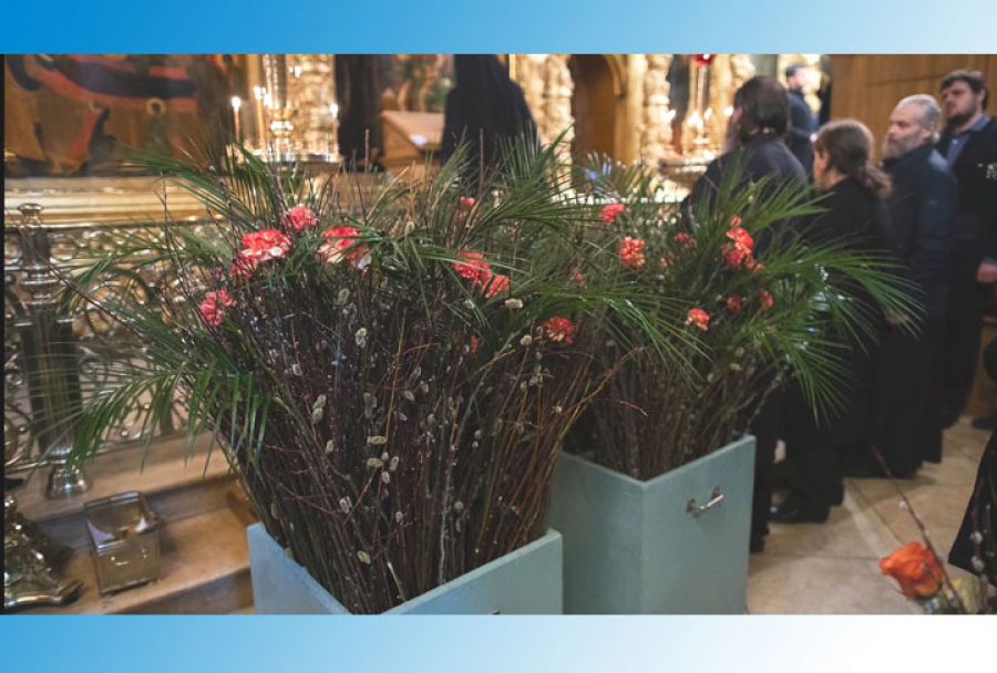 Вербное воскресенье онлайн