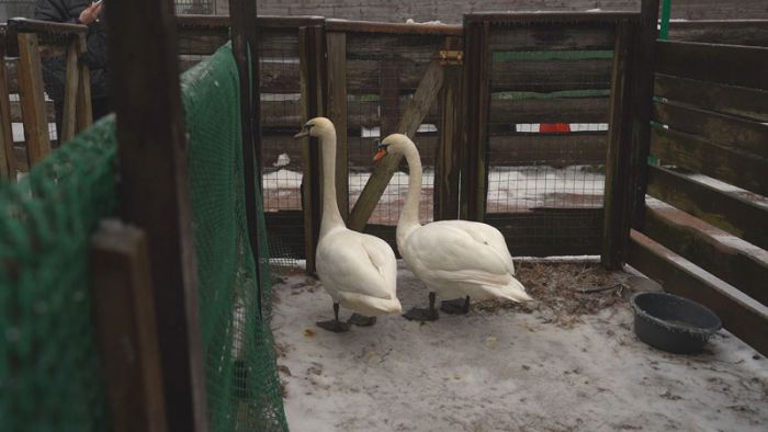 Зимовать в тепле