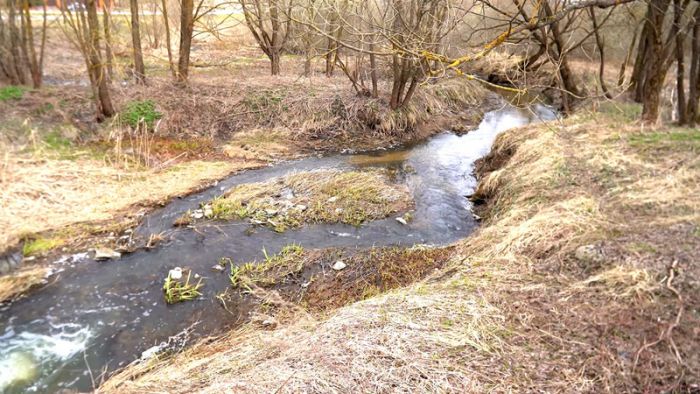 Выездное совещание на берегу Копнинки