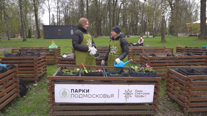 Общественный огород – для всех желающих