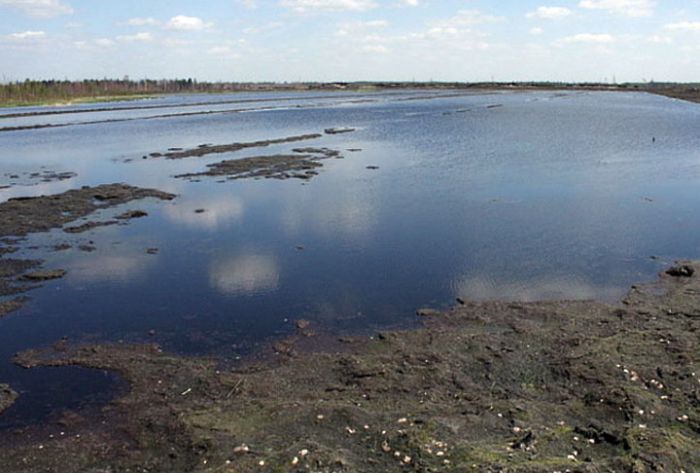 В Сергиево‑Посадском районе установили организатора незаконной добычи торфа