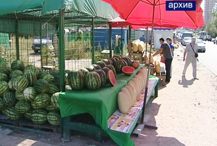 В Московской области будет работать около 400 бахчевых развалов