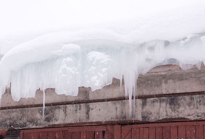 Ледниковый период-2019