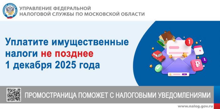 Срок уплаты имущественных налогов – 1 декабря 2025 года