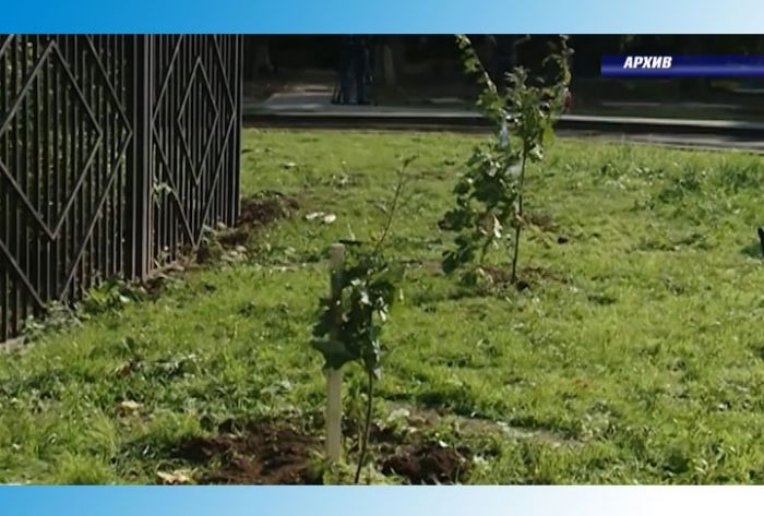 Сделать свой город краше может каждый