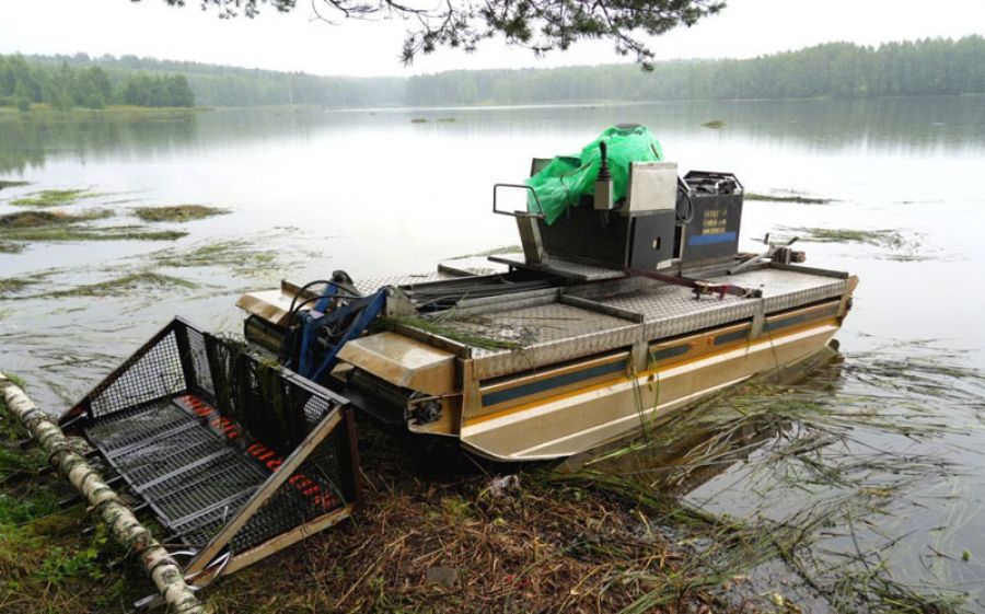 На портале «Добродел» продолжается голосование за пруды, расположенные на территории Московской области, которые будут очищены в 2026 году