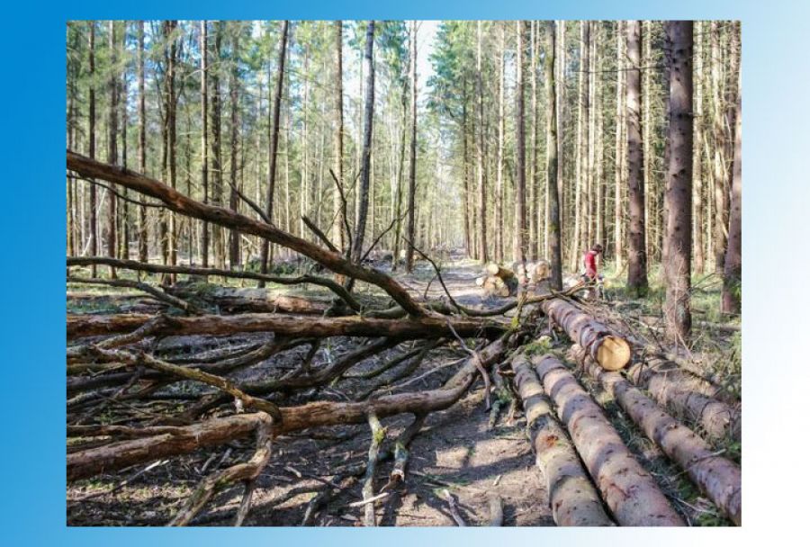 Неблагоприятные метеорологические условия! Внимание!