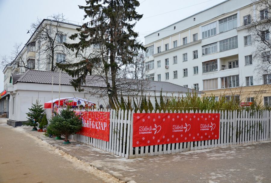 В Сергиевом Посаде начали работу новогодние елочные базары
