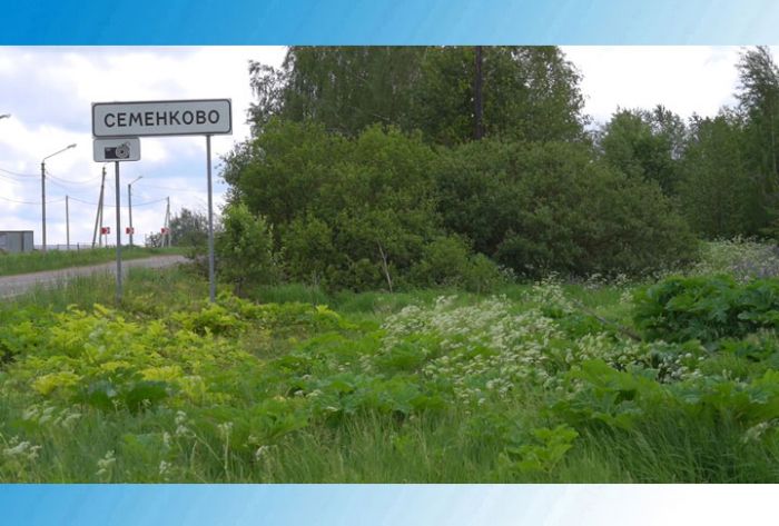&laquo;День города&raquo; за 5 июня 2024 г.