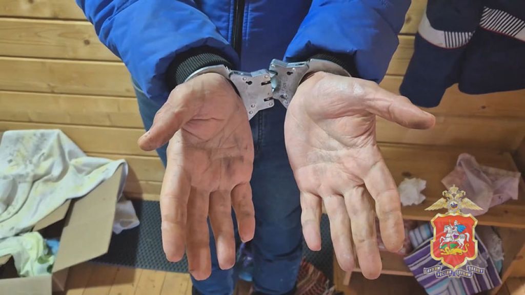 «День города» за 15 декабря 2025 г.