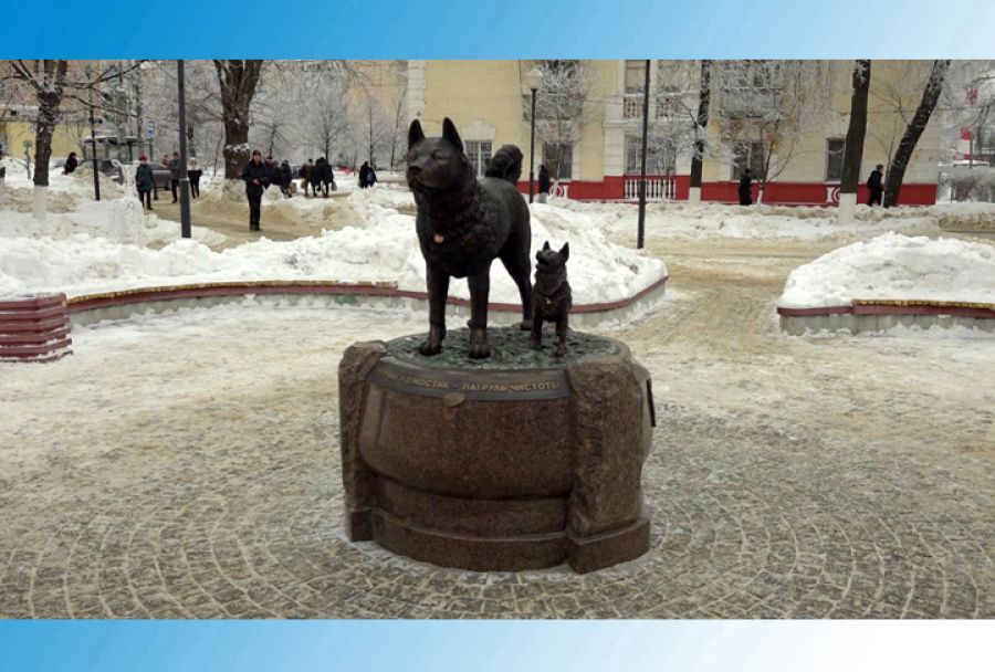Установлен памятник четвероногим экоактивистам